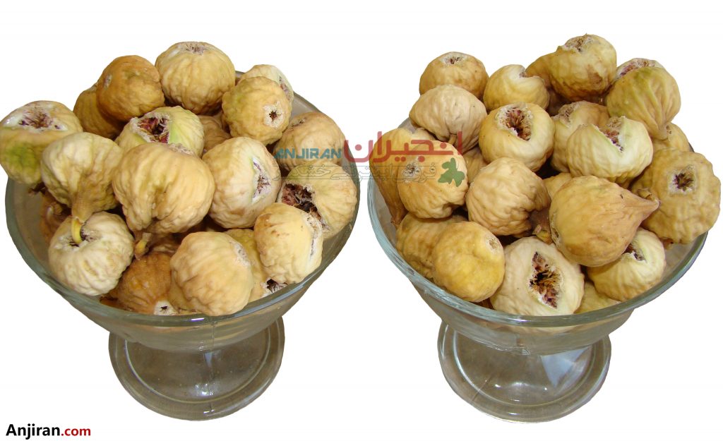 انجیر از شناخت تا باغداری