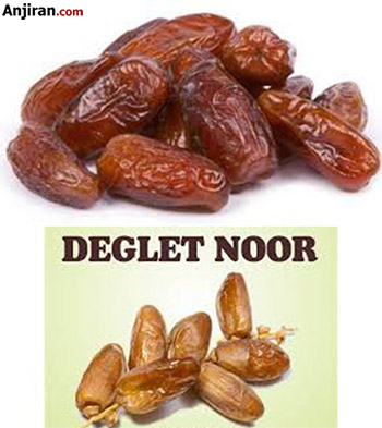 خرمای دگلت نور