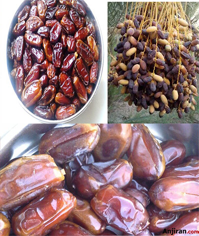 خرمای استعمران