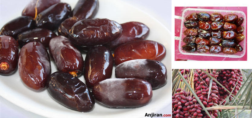 خرمای کبکاب