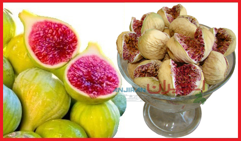خرید انجیر تازه و انجیر خشک مناسب - Buy Figs