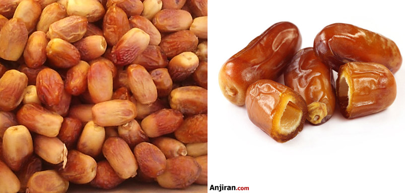 خرمای زاهدی